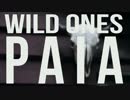 Wild Ones-Paia