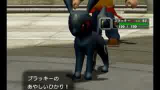 ポケモンコロシアム　オーレコロシアム５０レベル　ダブル　ファイナル