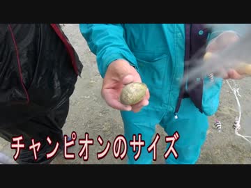 【潮干狩り】味噌汁作る旅【沖縄】　前半