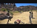 [新生FF14]新生オトナのHR[声ありプレイ動画]その5