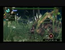 【ＭＨＰ３rdＨＤ実況】ドボルベルク戦【裸討伐隊バキューム】part3