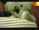 【らりるれりん】ぬいぐるみを使ってPVのようなものを作ってみた