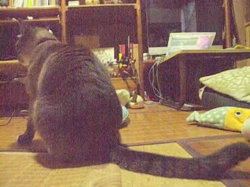 ジャンくんのお留守番は経済成長でもある