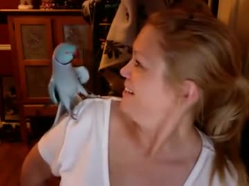 キスがとまらないインコ