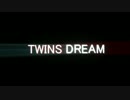 TWINS DREAM 00 【SIM3】