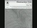 Destruction Unit - The World On Drugs