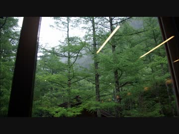 オカリンの森×ノノムラの森