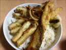 【かーびーの釣り日記】part27 いつもの名古屋港で五目釣り-穴子天丼他
