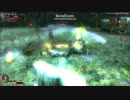 真・三國無双online～雷双剣再び～