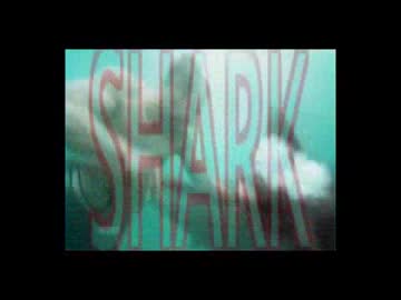 Shark Night song (Shark Bite)
