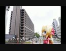 ニート、旅をする【14日目】