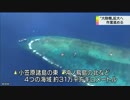 「大陸棚」拡大に向け作業進める