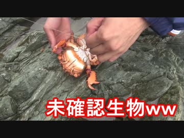 秘境で釣りをしたら未確認生物が釣れた【沖縄】