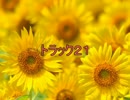 授業用BGM_トラック２１～３０