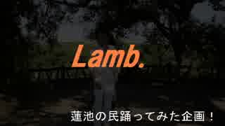 [蓮池の民踊ってみた企画]　Lamb.　[第１弾]