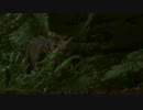 アマゾンに生きていた恐竜｢THE EXPEDITION｣映画予告編