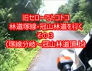 旧セローでトコトコ、林道塚線・冠山林道を行く　その３
