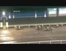 セニョールベストの400戦目(2014年7月6日高知競馬9R)