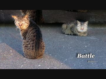 【BGM】 Battle_reMastering 【Battle】