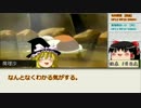 【ゆっくりTRPG】過疎村でクトゥルー【クトゥルフTRPG】深淵編３
