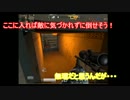 【AVA】FPSド初心者が戦場の星になる　Part2【ゆっくり】