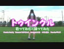 【歌ってみた×踊ってみた】トゥインクル【にこあ×つみりんこ】