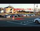 【南雲のドライブオペレーション】 CS36-14 群馬から帰るよ！