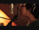 PHOX - Shrinking Violets