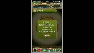 [パズドラ]　ゴッドフェス　ムラコフォロワー100万人突破記念延長戦！