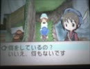 【牧場物語ようこそ風のバザールへ】のんびり牧場生活日記11日目