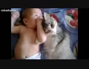 赤さんLOVEな猫達