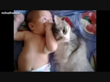 赤さんLOVEな猫達