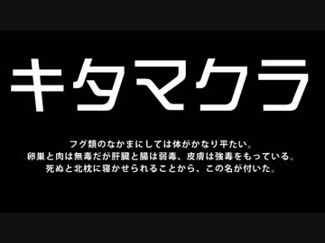 【体験旅】GSR250のために、海釣りに挑戦！【バイク車載動画】