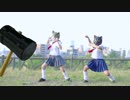 【にゃっさ】１１日なのでハンマー状態【踊ってみた】