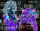 はるあり。#18　【コウノトオリ許して下さい……ふふっ】