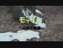 モッサンの登山動画 美の山（公園）、（蓑山）　後半