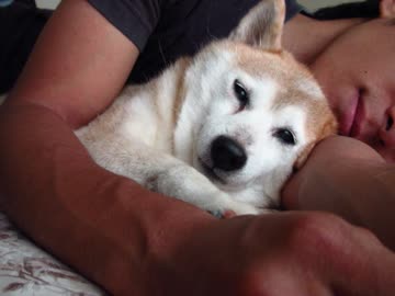 ＧＯ！ＧＯ！りょうちゃん・２（１４年７月９日）