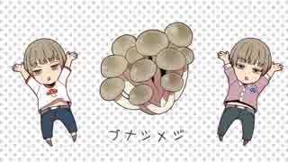 きのこオールスターズ「きのこの唄」マキシシングル 未開封