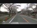 【ビビっとドライブオペレーション】 CS37-3 今更、お花見！編