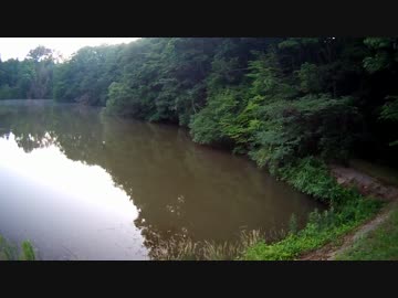 ゆっくり魚釣り研究記録 ファイル2