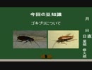 バンパーは俺の味方！【カービィのブロックボール】partＧ