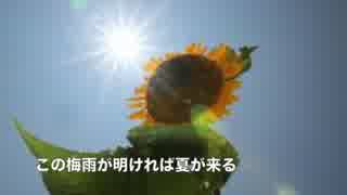 【初音ミク】夏が来る【オリジナル】