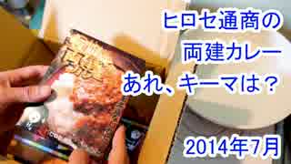 ヒロセ通商の両建てカレー　それで片道という単語使うかぁ？　2014年7月