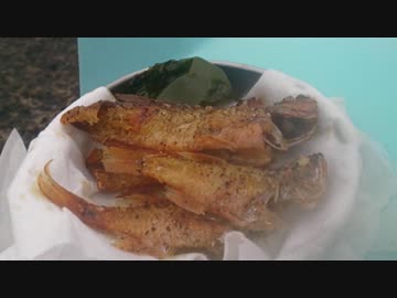 【釣り】釣りへ行こう！part1-2【アウトドア】