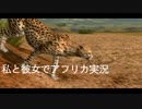 【実況】 チーターを撮る私と彼女 2人でAFRIKA part 4