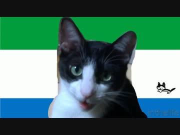 ふぁみりぃにゃあと♪