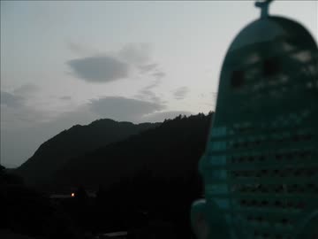 川　ひぐらし　カエル　虫　犬少々。夏の田舎の音