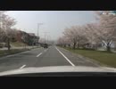 【ビビっとドライブオペレーション】 CS38-1 しんあさひ風車村！花見編
