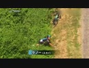 2013 ツール・ド・フランス 3/8