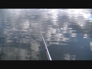 小川でウキ釣り
